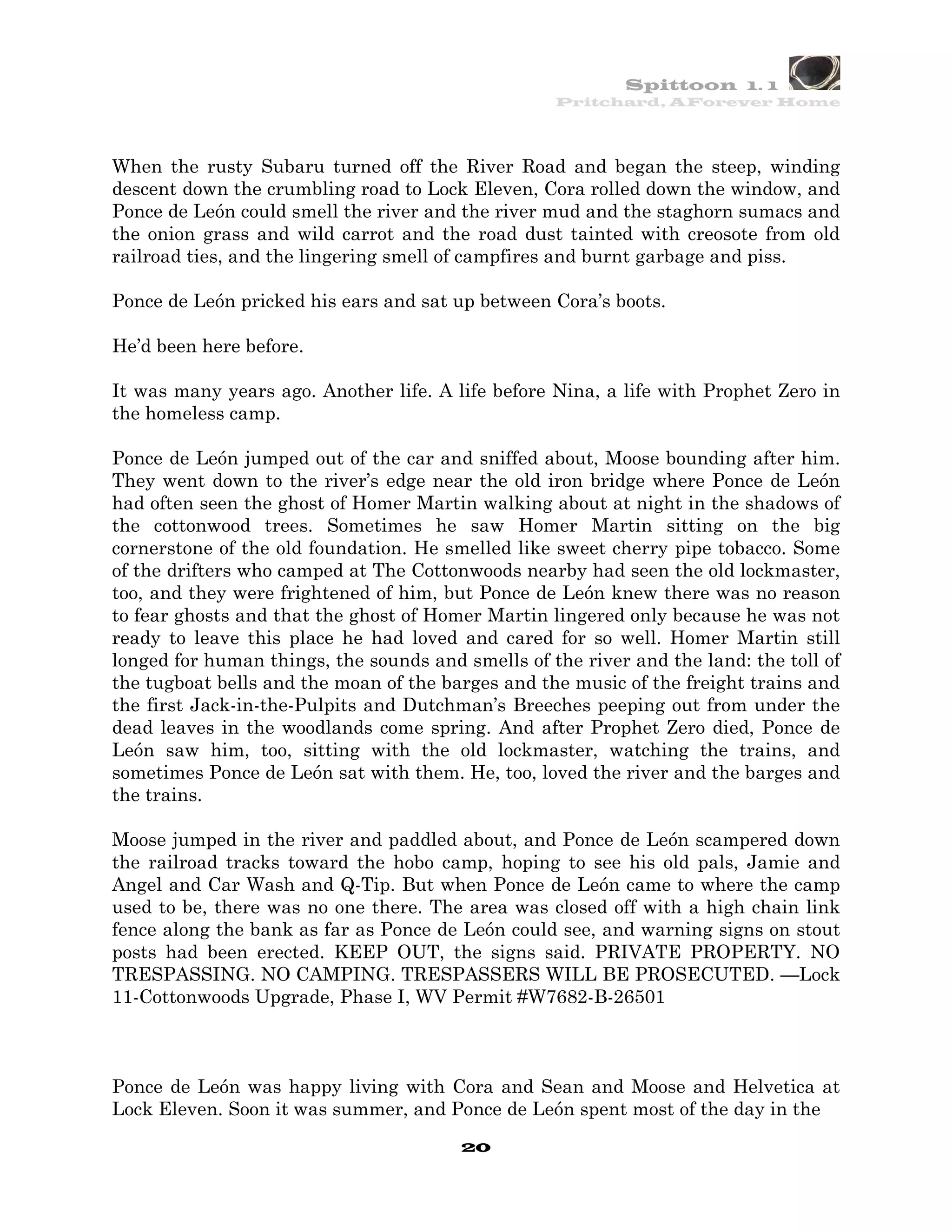 Spittoon 1. 1
                                                   Pritchard, AForever Home




When the rusty Subaru turned off the River Road and began the steep, winding
descent down the crumbling road to Lock Eleven, Cora rolled down the window, and
Ponce de León could smell the river and the river mud and the staghorn sumacs and
the onion grass and wild carrot and the road dust tainted with creosote from old
railroad ties, and the lingering smell of campfires and burnt garbage and piss.

Ponce de León pricked his ears and sat up between Cora’s boots.

He’d been here before.

It was many years ago. Another life. A life before Nina, a life with Prophet Zero in
the homeless camp.

Ponce de León jumped out of the car and sniffed about, Moose bounding after him.
They went down to the river’s edge near the old iron bridge where Ponce de León
had often seen the ghost of Homer Martin walking about at night in the shadows of
the cottonwood trees. Sometimes he saw Homer Martin sitting on the big
cornerstone of the old foundation. He smelled like sweet cherry pipe tobacco. Some
of the drifters who camped at The Cottonwoods nearby had seen the old lockmaster,
too, and they were frightened of him, but Ponce de León knew there was no reason
to fear ghosts and that the ghost of Homer Martin lingered only because he was not
ready to leave this place he had loved and cared for so well. Homer Martin still
longed for human things, the sounds and smells of the river and the land: the toll of
the tugboat bells and the moan of the barges and the music of the freight trains and
the first Jack-in-the-Pulpits and Dutchman’s Breeches peeping out from under the
dead leaves in the woodlands come spring. And after Prophet Zero died, Ponce de
León saw him, too, sitting with the old lockmaster, watching the trains, and
sometimes Ponce de León sat with them. He, too, loved the river and the barges and
the trains.

Moose jumped in the river and paddled about, and Ponce de León scampered down
the railroad tracks toward the hobo camp, hoping to see his old pals, Jamie and
Angel and Car Wash and Q-Tip. But when Ponce de León came to where the camp
used to be, there was no one there. The area was closed off with a high chain link
fence along the bank as far as Ponce de León could see, and warning signs on stout
posts had been erected. KEEP OUT, the signs said. PRIVATE PROPERTY. NO
TRESPASSING. NO CAMPING. TRESPASSERS WILL BE PROSECUTED. —Lock
11-Cottonwoods Upgrade, Phase I, WV Permit #W7682-B-26501



Ponce de León was happy living with Cora and Sean and Moose and Helvetica at
Lock Eleven. Soon it was summer, and Ponce de León spent most of the day in the
                                        20
 