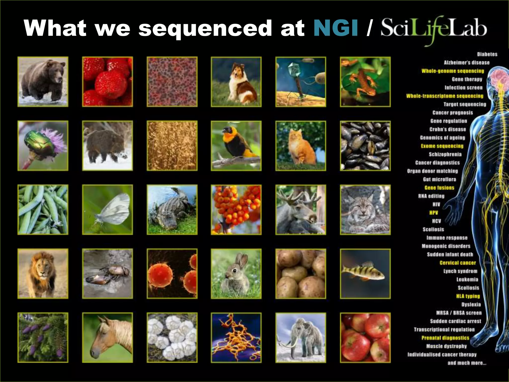 What we sequenced at NGI /
 