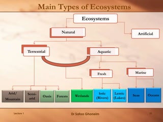 Main Types of Ecosystems
Natural
Arid/
Mountain
Semi-
arid
Oasis Forests
Aquatic
lotic
(Rivers)
Lentic
(Lakes)
SeasWetlands Oceans
Artificial
Terrestrial
Fresh Marine
Ecosystems
Lecture 1 Dr Safaa Ghoneim 26
 