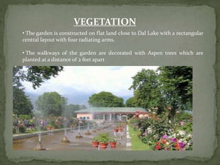 VEGETATION
• The garden is constructed on flat land close to Dal Lake with a rectangular
central layout with four radiating arms.
• The walkways of the garden are decorated with Aspen trees which are
planted at a distance of 2 feet apart
 
