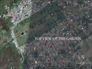 TOP VIEW OF THE GARDEN
 