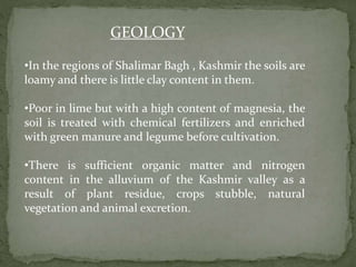 GEOLOGY
•In the regions of Shalimar Bagh , Kashmir the soils are
loamy and there is little clay content in them.
•Poor in lime but with a high content of magnesia, the
soil is treated with chemical fertilizers and enriched
with green manure and legume before cultivation.
•There is sufficient organic matter and nitrogen
content in the alluvium of the Kashmir valley as a
result of plant residue, crops stubble, natural
vegetation and animal excretion.
 