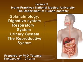 Lecture 3Lecture 3
Ivano-Frankivsk National Medical UniversityIvano-Frankivsk National Medical University
The Department of Human anatomyThe Department of Human anatomy
Prepared by PhD TetyanaPrepared by PhD Tetyana
Knyazevych - ChornaKnyazevych - Chorna
Splanchnology.
Digestive system
Respiratory
System
Urinary System
The Reproductive
System
 