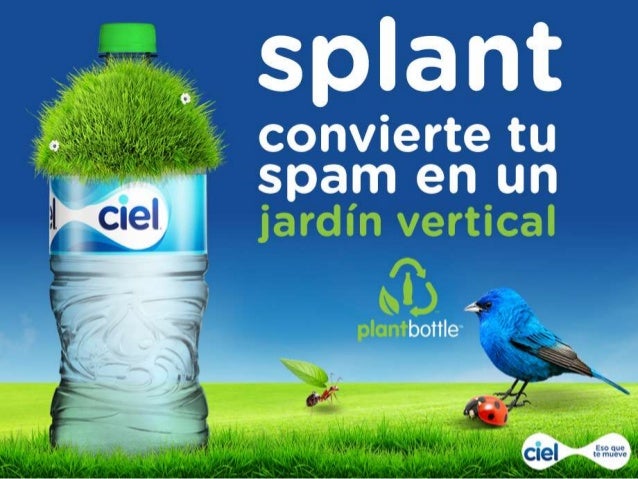 Ejemplos de publicidad engañosa de opciones binarias