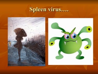Spleen virus…. 