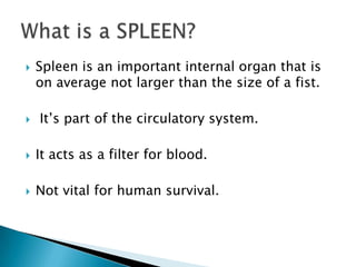 Spleen | PPTX