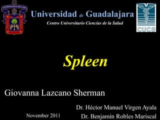 Universidad de Guadalajara
            Centro Universitario Ciencias de la Salud




                     Spleen
Giovanna Lazcano Sherman
                           Dr. Héctor Manuel Virgen Ayala
     November 2011          Dr. Benjamín Robles Mariscal
 