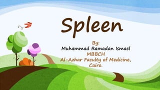 Spleen
By:
Muhammad Ramadan Ismael
MBBCH
Al-Azhar Faculty of Medicine,
Cairo.
 