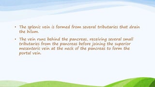 • The splenic vein is formed from several tributaries that drain
the hilum.
• The vein runs behind the pancreas, receiving several small
tributaries from the pancreas before joining the superior
mesenteric vein at the neck of the pancreas to form the
portal vein.
 