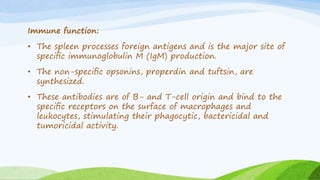Immune function:
• The spleen processes foreign antigens and is the major site of
speciﬁc immunoglobulin M (IgM) production.
• The non-speciﬁc opsonins, properdin and tuftsin, are
synthesized.
• These antibodies are of B- and T-cell origin and bind to the
speciﬁc receptors on the surface of macrophages and
leukocytes, stimulating their phagocytic, bactericidal and
tumoricidal activity.
 