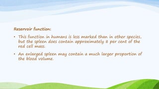 Reservoir function:
• This function in humans is less marked than in other species,
but the spleen does contain approximately 8 per cent of the
red cell mass.
• An enlarged spleen may contain a much larger proportion of
the blood volume.
 