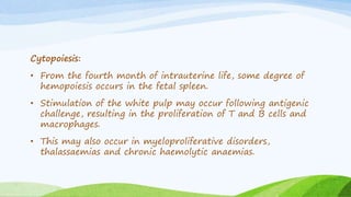 Cytopoiesis:
• From the fourth month of intrauterine life, some degree of
hemopoiesis occurs in the fetal spleen.
• Stimulation of the white pulp may occur following antigenic
challenge, resulting in the proliferation of T and B cells and
macrophages.
• This may also occur in myeloproliferative disorders,
thalassaemias and chronic haemolytic anaemias.
 