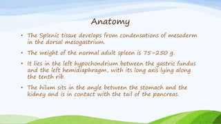 Anatomy
• The Splenic tissue develops from condensations of mesoderm
in the dorsal mesogastrium.
• The weight of the normal adult spleen is 75–250 g.
• It lies in the left hypochondrium between the gastric fundus
and the left hemidiaphragm, with its long axis lying along
the tenth rib.
• The hilum sits in the angle between the stomach and the
kidney and is in contact with the tail of the pancreas.
 
