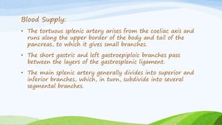 Blood Supply:
• The tortuous splenic artery arises from the coeliac axis and
runs along the upper border of the body and tail of the
pancreas, to which it gives small branches.
• The short gastric and left gastroepiploic branches pass
between the layers of the gastrosplenic ligament.
• The main splenic artery generally divides into superior and
inferior branches, which, in turn, subdivide into several
segmental branches.
 