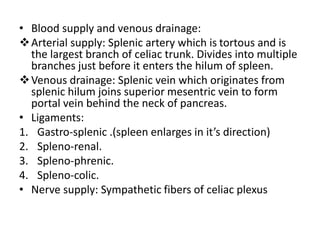 • Blood supply and venous drainage:
Arterial supply: Splenic artery which is tortous and is
the largest branch of celiac trunk. Divides into multiple
branches just before it enters the hilum of spleen.
Venous drainage: Splenic vein which originates from
splenic hilum joins superior mesentric vein to form
portal vein behind the neck of pancreas.
• Ligaments:
1. Gastro-splenic .(spleen enlarges in it’s direction)
2. Spleno-renal.
3. Spleno-phrenic.
4. Spleno-colic.
• Nerve supply: Sympathetic fibers of celiac plexus
 