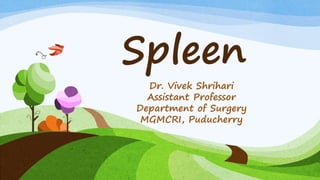 Spleen
Dr. Vivek Shrihari
Assistant Professor
Department of Surgery
MGMCRI, Puducherry
 