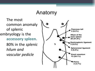 Spleen in surgery | PPT