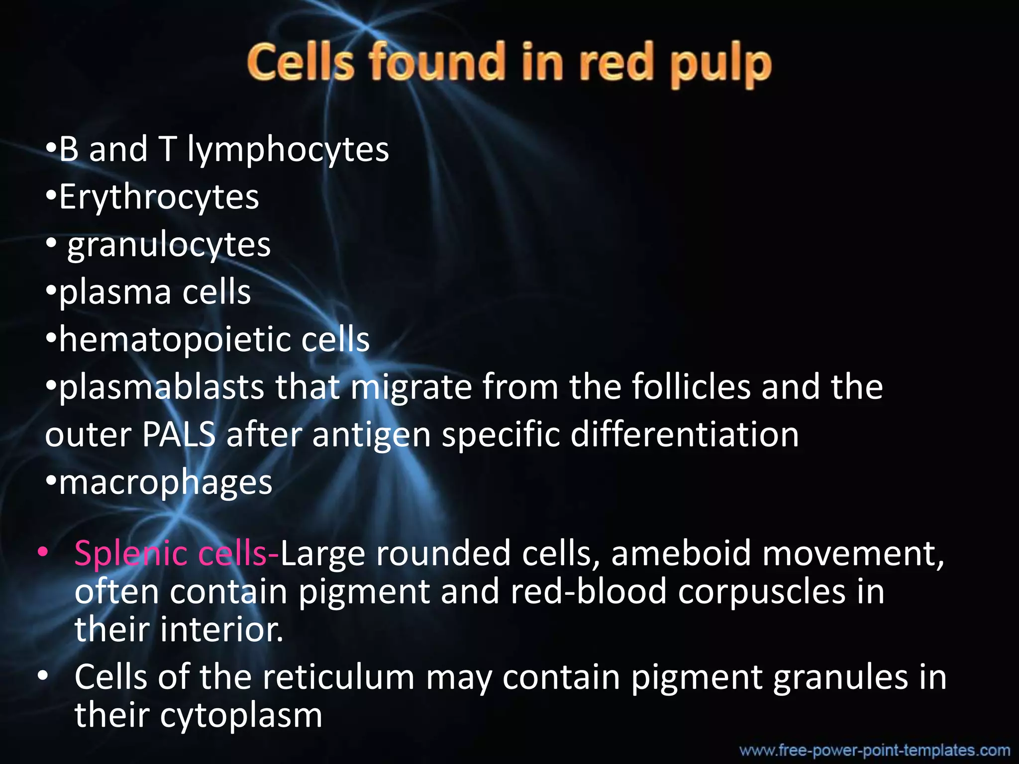 Structure and function of spleen pptx