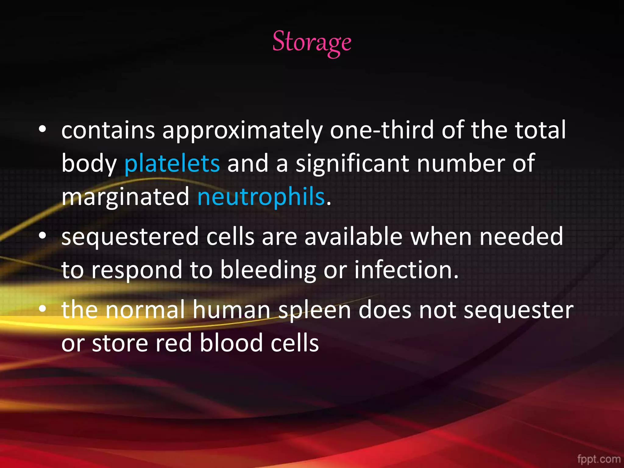 Structure and function of spleen pptx