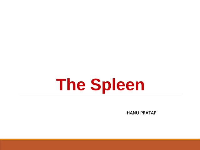 Spleen | PPT