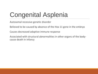 Congenital Asplenia
Autosomal recessive genetic disorder
Believed to be caused by absence of the Hox 11 gene in the embryo
Causes decreased adaptive immune response
Associated with structural abnormalities in other organs of the body-
cause death in infancy
 