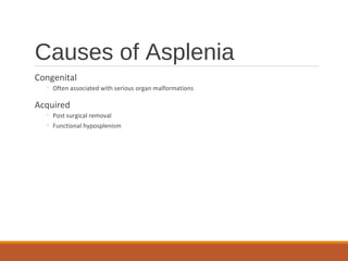 Causes of Asplenia
Congenital
◦ Often associated with serious organ malformations
Acquired
◦ Post surgical removal
◦ Functional hyposplenism
 