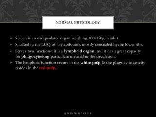 Spleen | PPT | Free Download