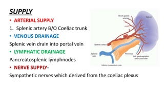 SUPPLY
• ARTERIAL SUPPLY
1. Splenic artery B/O Coeliac trunk
• VENOUS DRAINAGE
Splenic vein drain into portal vein
• LYMPHATIC DRAINAGE
Pancreatosplenic lymphnodes
• NERVE SUPPLY-
Sympathetic nerves which derived from the coeliac plexus
 