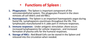 • Functions of Spleen :
1. Phagocytosis : The Spleen is important component of the
reticuloendothelial system. The phagocytes Present In the sleen
removes all cell debris and old RBCs.
2. Haemopoiesis : The Spleen is an important haemopoietic organ during
foetal life. Lymphopoeisis countinues throughout the life. The
lymphocytes manufactured in it ,take part in immune responses.
3. Immune responses : Under antigenic stimulation ,there occurs
increased lymphopoeisis for cellular responses , and increased
formation of plasma cells for the humoral responses.
4. Storage of RBCs : Red Blood Cells can be stored In the Spleen and
released into the circulation when needed.
 
