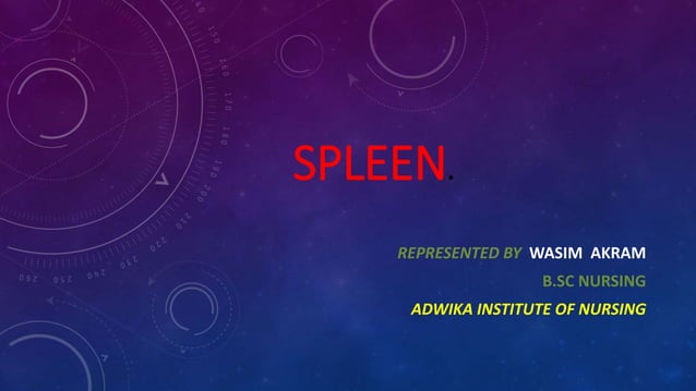 Spleen // Structure of Spleen//Function of Spleen | PPT