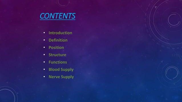 Spleen // Structure of Spleen//Function of Spleen | PPT