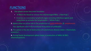 Spleen // Structure of Spleen//Function of Spleen | PPTX