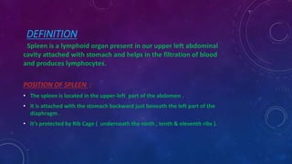 Spleen // Structure of Spleen//Function of Spleen | PPT
