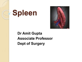 Spleen
Dr Amit Gupta
Associate Professor
Dept of Surgery
 