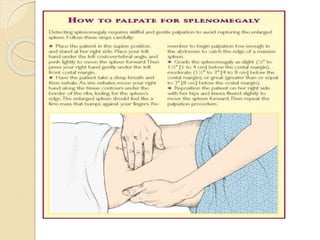 spleen.ppt