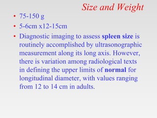 Size and Weight
• 75-150 g
• 5-6cm x12-15cm
• Diagnostic imaging to assess spleen size is
routinely accomplished by ultras...