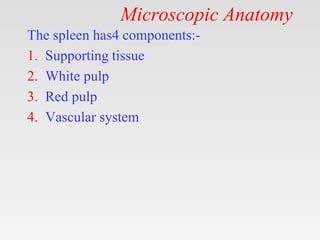 Microscopic Anatomy
The spleen has4 components:-
1. Supporting tissue
2. White pulp
3. Red pulp
4. Vascular system
 