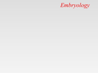 Embryology
 