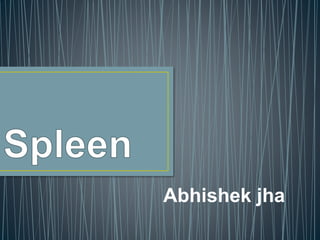 Abhishek jha
 