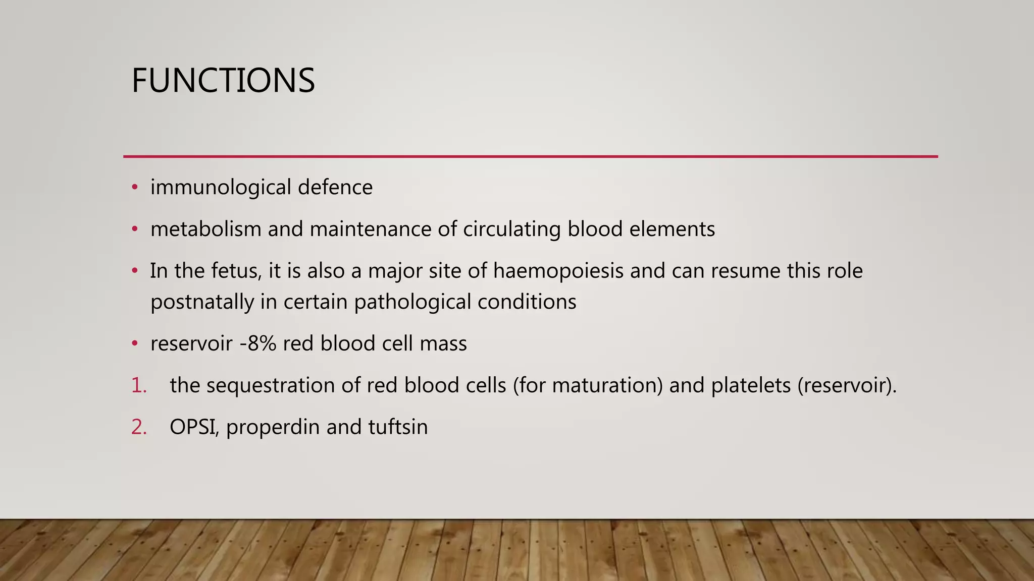 Spleen anatomy and physiology Biology Diagrams