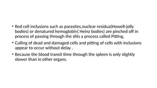 • Red cell inclusions such as parasites,nuclear residua(Howell-jolly
bodies) or denatured hemoglobin( Heinz bodies) are pinched off in
process of passing through the slits a process called Pitting.
• Culling of dead and damaged cells and pitting of cells with inclusions
appear to occur without delay .
• Because the blood transit time through the spleen is only slightly
slower than in other organs.
 