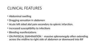 CLINICAL FEATURES
• Abdominal swelling
• Dragging sensation in abdomen
• Acute left sided abd pain secondary to splenic infarction.
• Increased susceptibility to infections
• Bleeding manifestations
• ON PHYSICAL EXAMINATIONmassive splenomegaly often extending
across the midline to right side of abdomen or downward into RIF
 