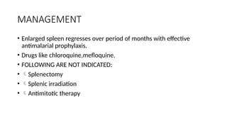 MANAGEMENT
• Enlarged spleen regresses over period of months with effective
antimalarial prophylaxis.
• Drugs like chloroquine,mefloquine.
• FOLLOWING ARE NOT INDICATED:
• Splenectomy
• Splenic irradiation
• Antimitotic therapy
 
