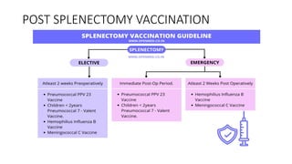 POST SPLENECTOMY VACCINATION
 