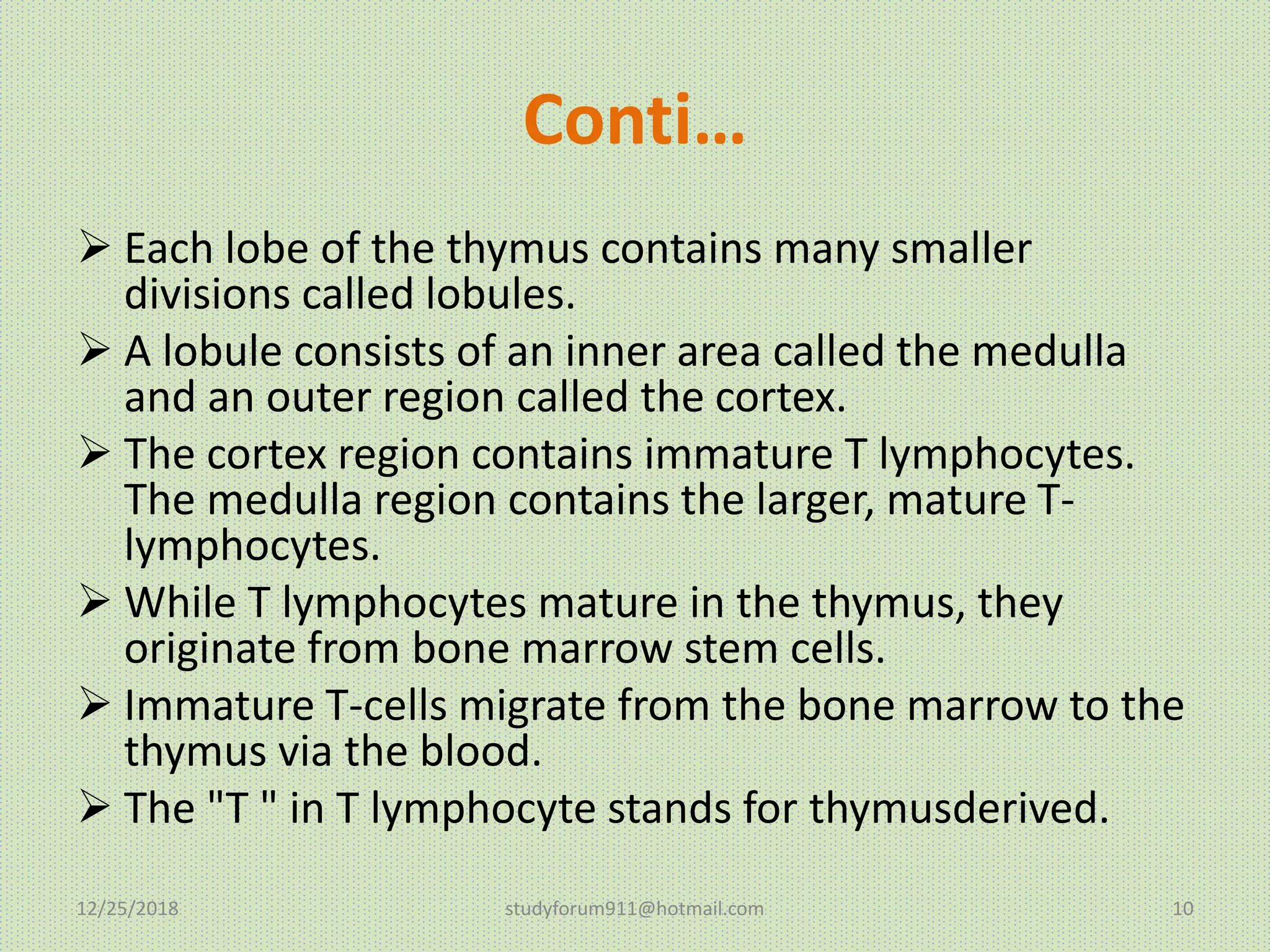 Spleen, thymus Organs of the Lymphatic System | PPTX