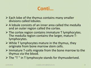 Spleen, thymus Organs of the Lymphatic System | PPTX