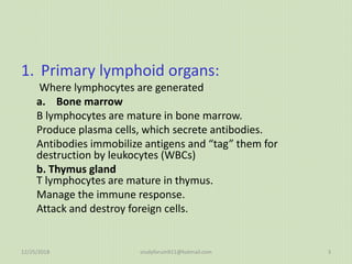 Spleen, thymus Organs of the Lymphatic System | PPTX