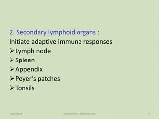 2. Secondary lymphoid organs :
Initiate adaptive immune responses
Lymph node
Spleen
Appendix
Peyer’s patches
Tonsils
12/25/2018 studyforum911@hotmail.com 4
 