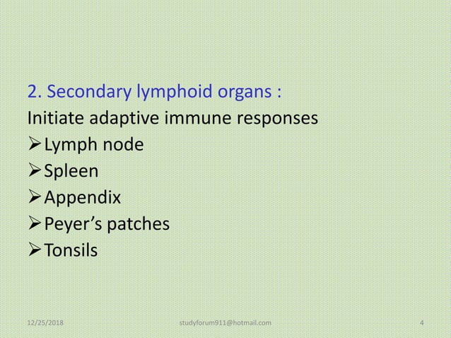 Spleen, thymus Organs of the Lymphatic System | PPTX