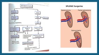 SPLEEN Trauma-Etiology, Investigation, Management .pptx